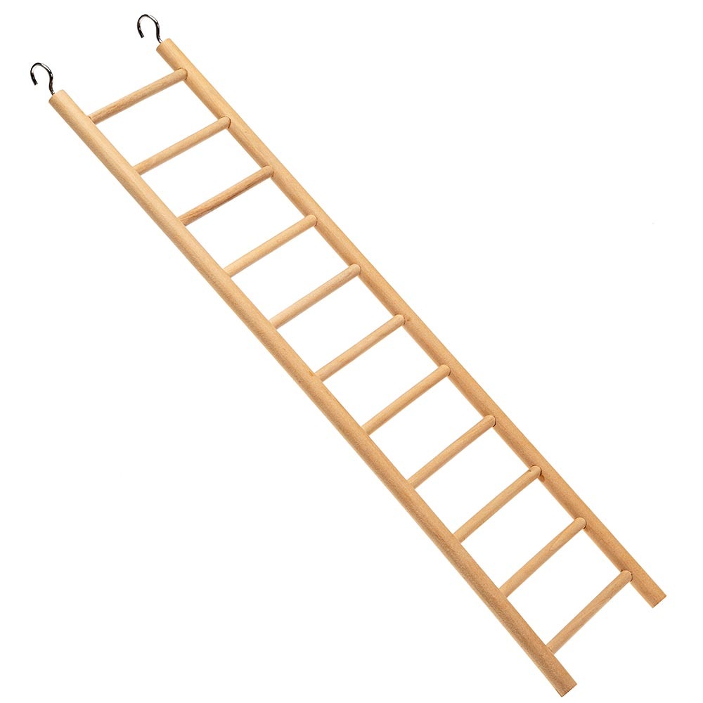 Accessoires cages oiseaux ferplast échelle bois exercice