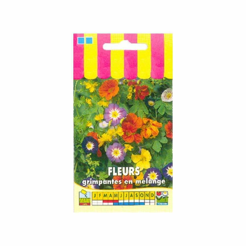 Fleurs grimpantes en mélange
