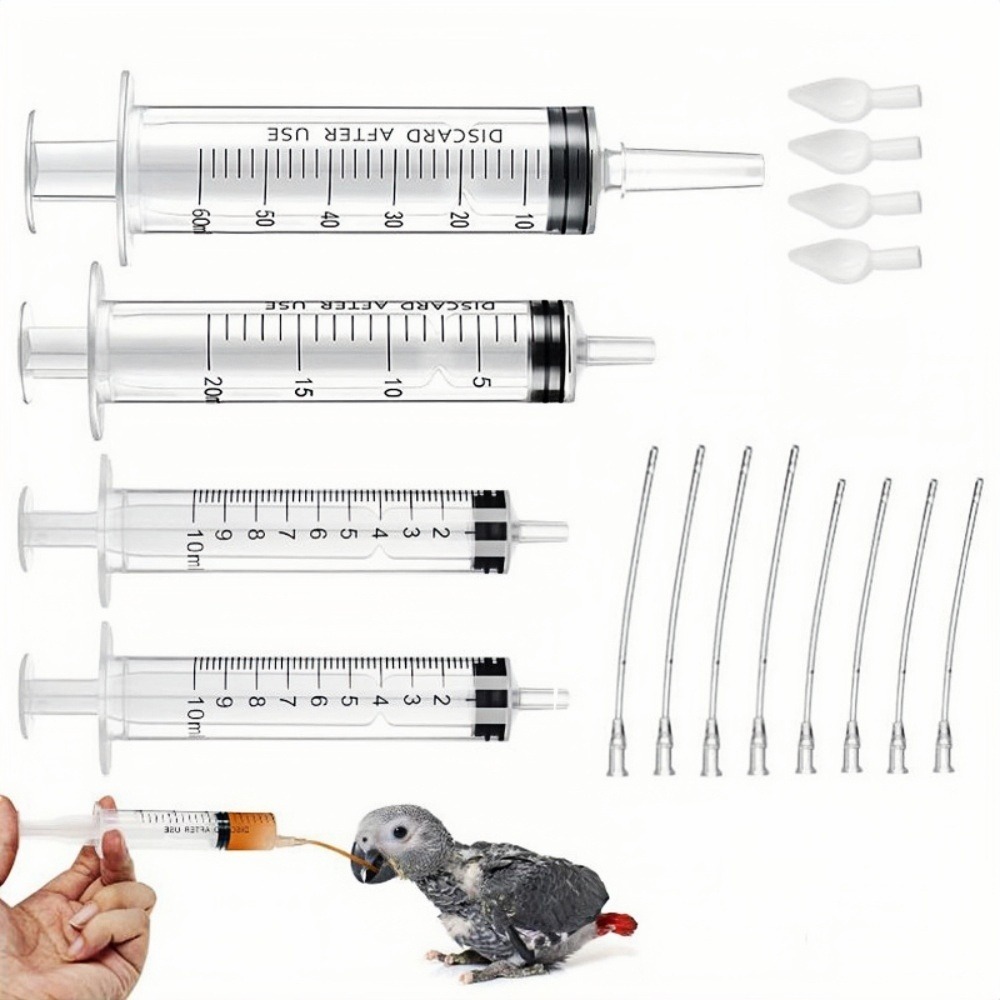 Tuyau d'alimentation pour jeunes oiseaux
