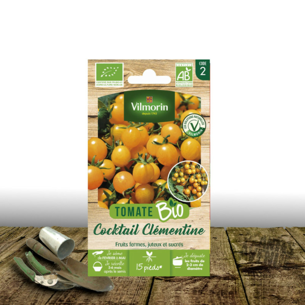 Graines de tomate clémentine - sans traitement - vilmorin sachet