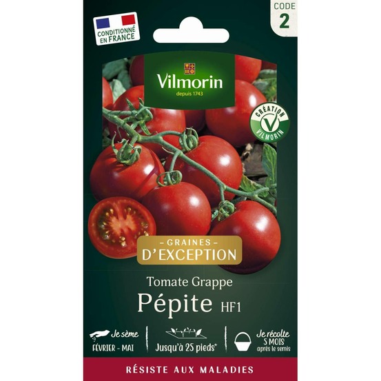 Sachet graines tomate grappe pépite hf1