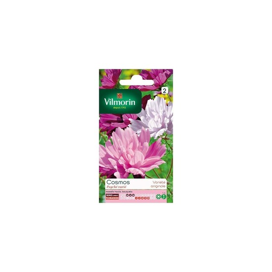 Sachet graines cosmos psyché varié