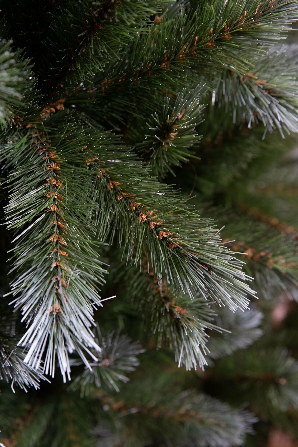 C L Brations Format Sapin De No L 215g