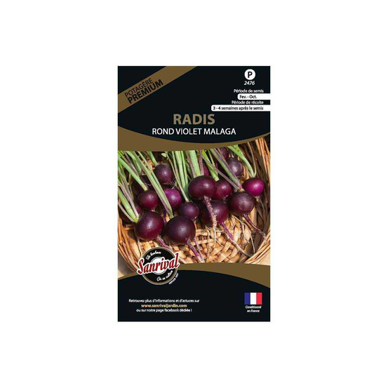 Graines potagères premium radis rond violet malaga