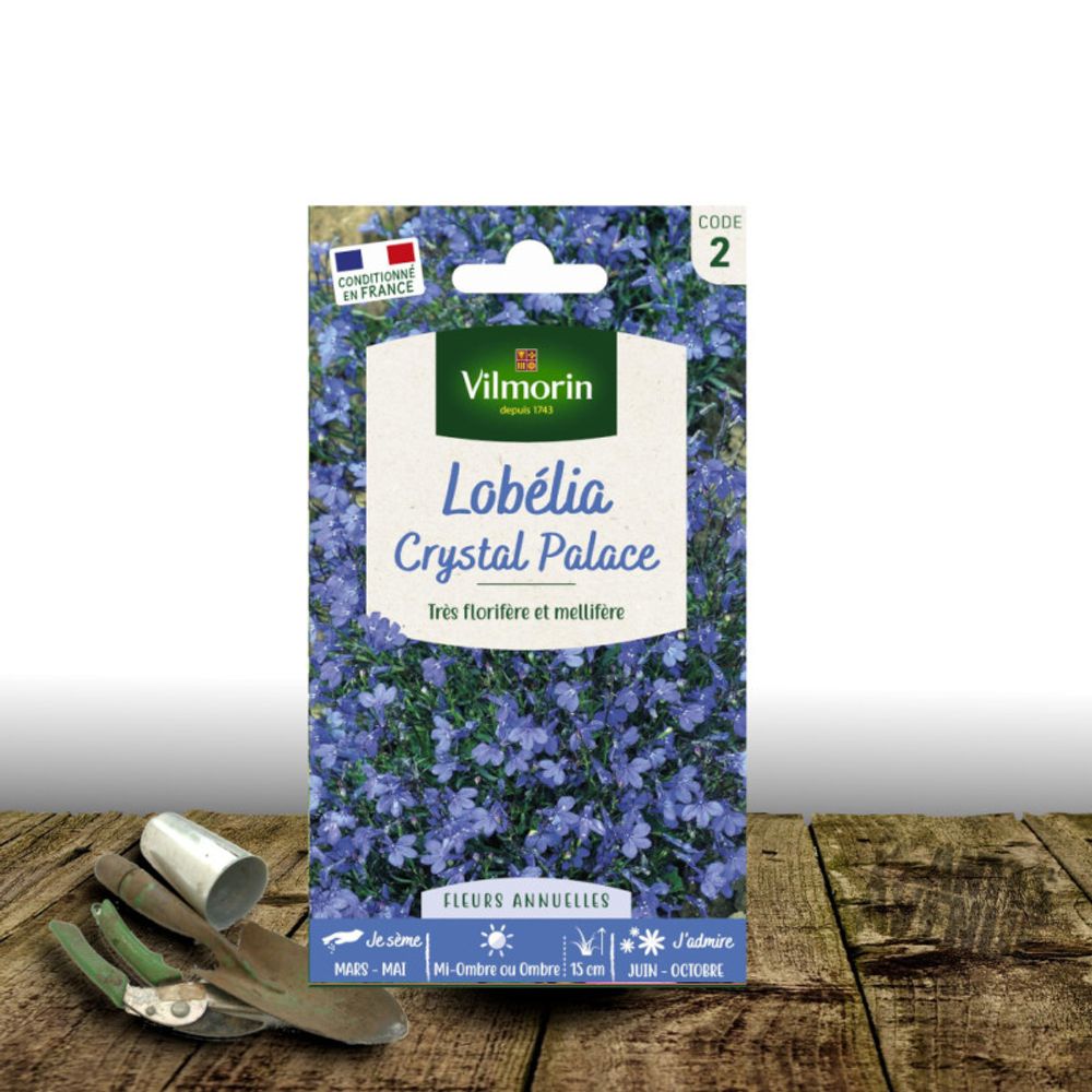 Graines de lobelia annuel crystal palace - vilmorin sachet