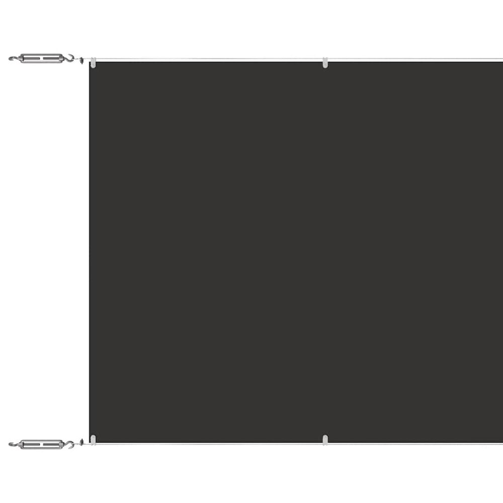 Auvent vertical anthracite 100x1200 cm tissu oxford