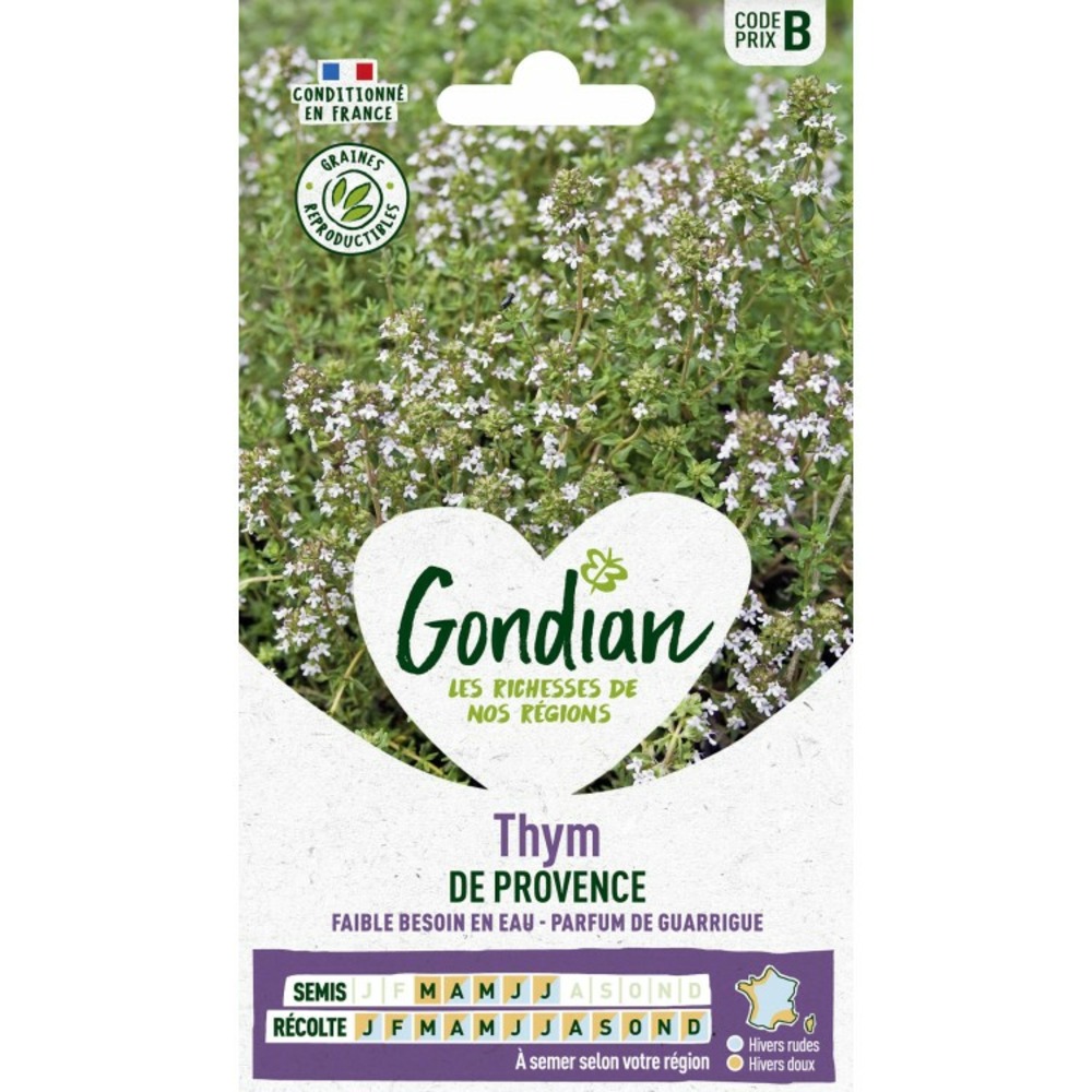 Thym de provence