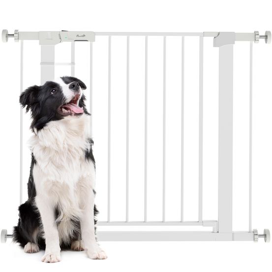 Barrière protection chien acier portes escaliers extensible 76-97cm blanc - comfortxl pet living
