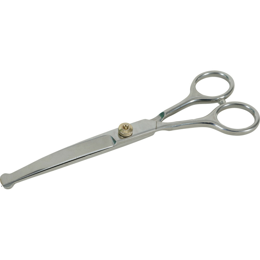 Ciseaux incurvés 16.5 cm en acier inoxydable pour chien