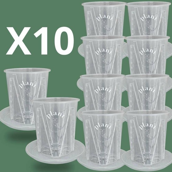 Lot pot aracées transparent - pot de culture transparent pour plantes - pot de 18cm - x10 unités - pots avec soucoupes adaptées