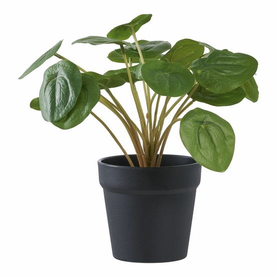 Plante artificielle pilea plante à monnaie chinoise verte 28 cm