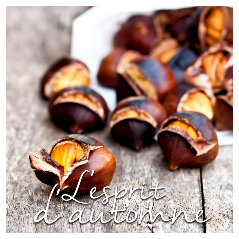 Lot de 20 serviettes papier marrons