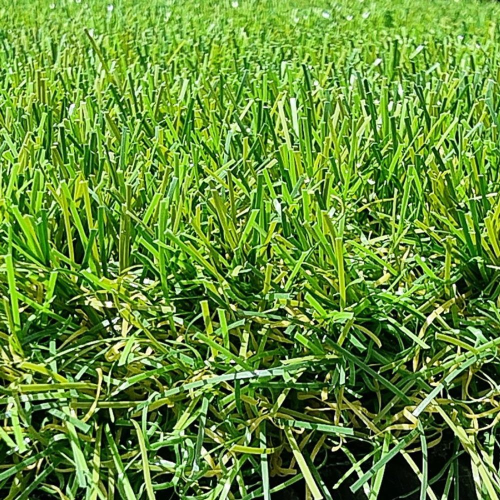 Gazon synthétique 40mm - 2mx25m soit 50m² - mgs