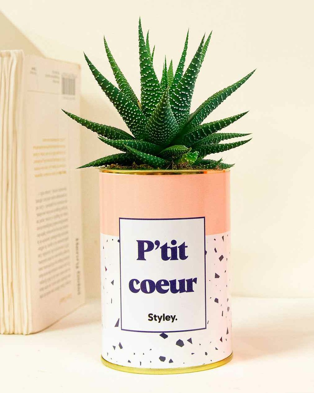 Plante personnalisée - p'tit coeur - cactus