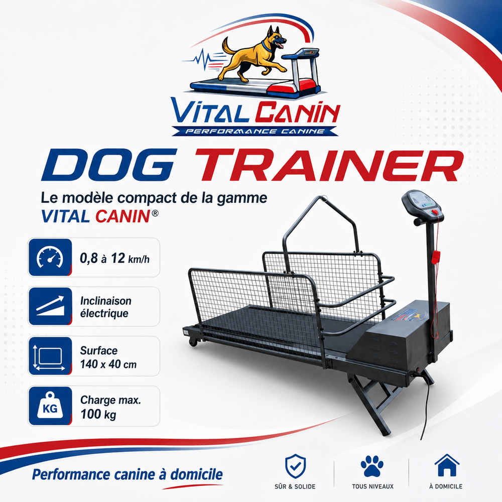 Dog trainer