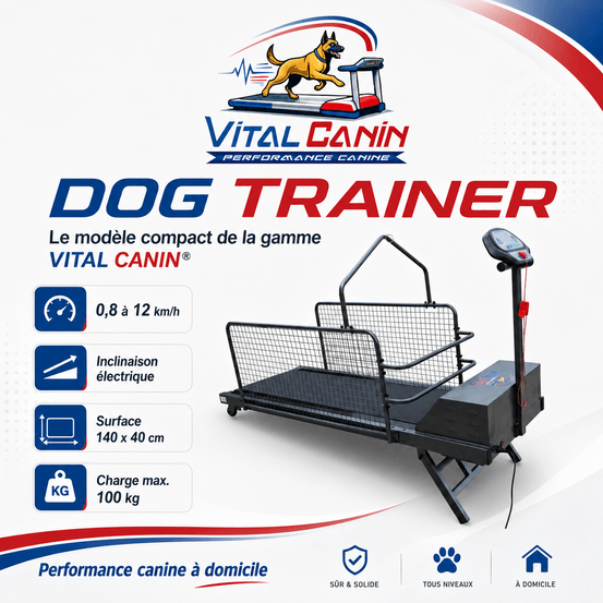 Dog trainer