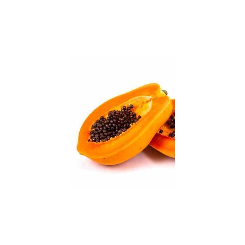 Papayer   carica papaya solo taille pot de 7 litres ? 60/80 cm -   rose