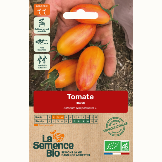 Tomate blush - graines bio