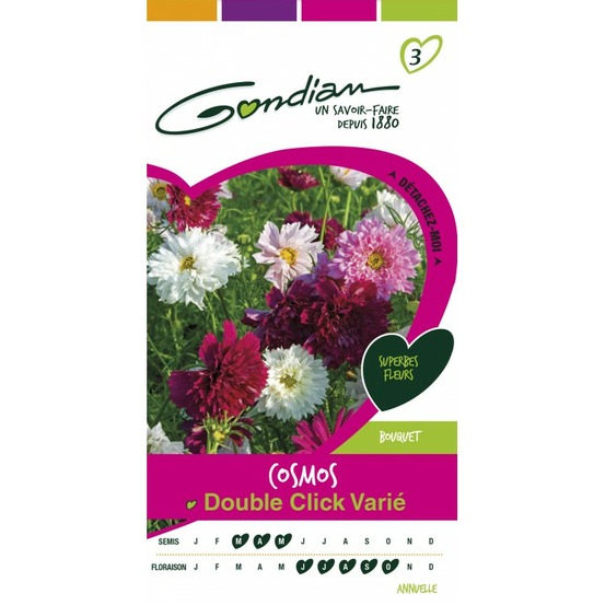Cosmo double click variée