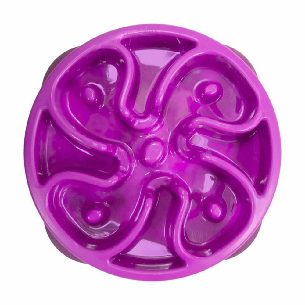 Mini mangeoire lente pour chiens slo bowl violet