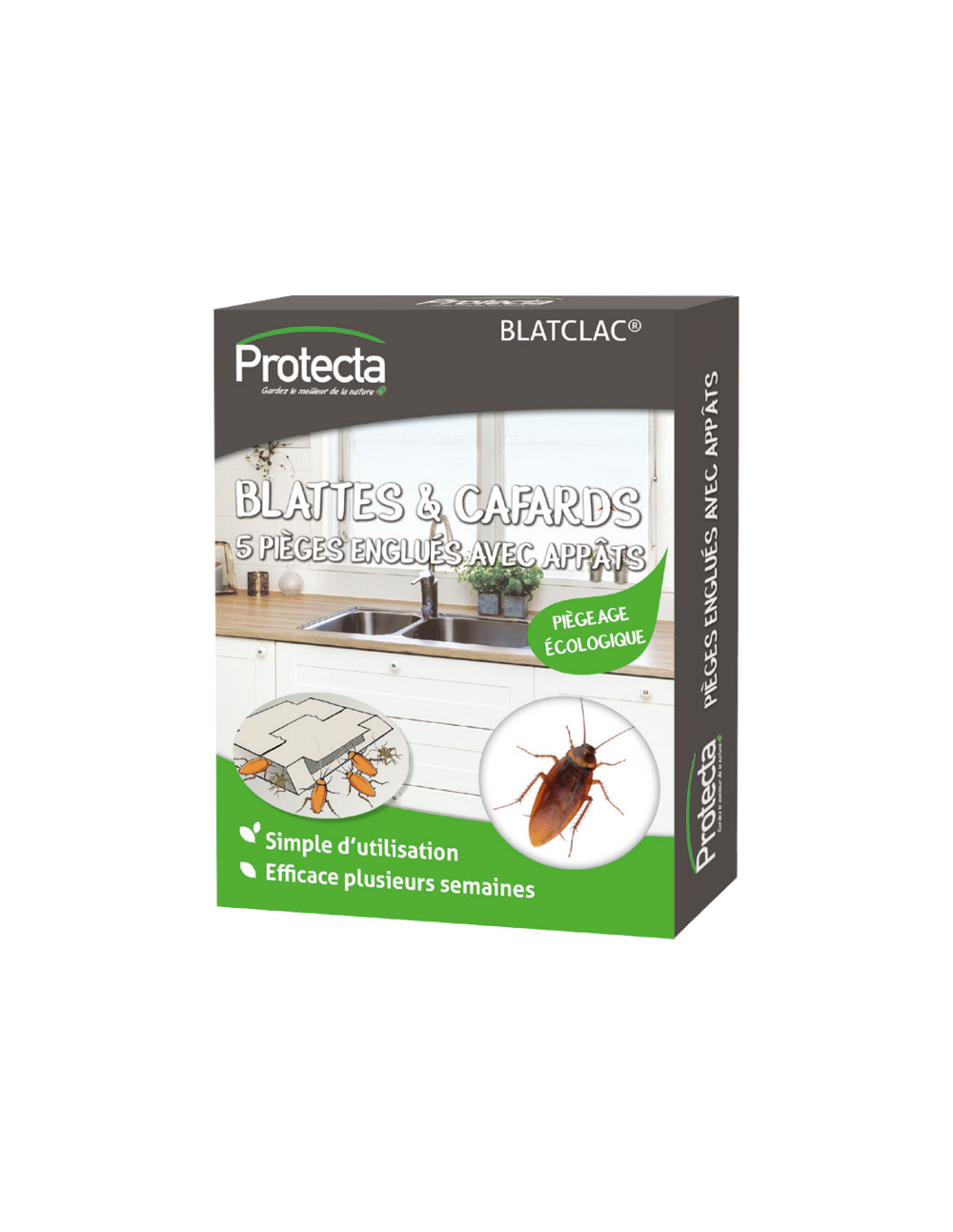 Cafards et blattes etui 5 pieges écologique - protecta