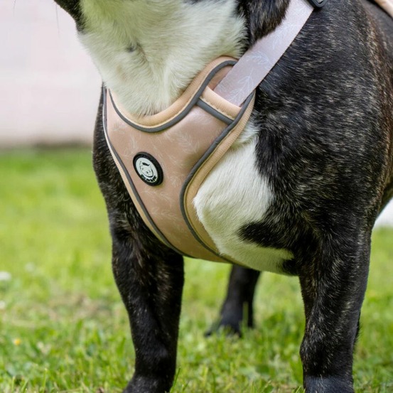 Harnais premium pour chien confortable - beige tropical - taille s