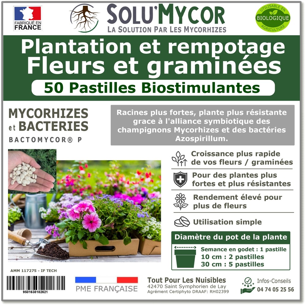 Solumycor 50 pastilles biostimulantes fleurs et graminees semis plantation developpement racinaire