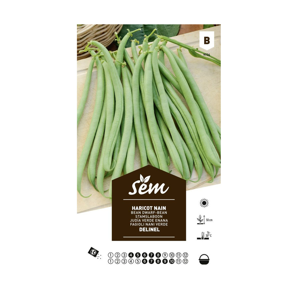 Graines potagères haricot delinel nain mangetout