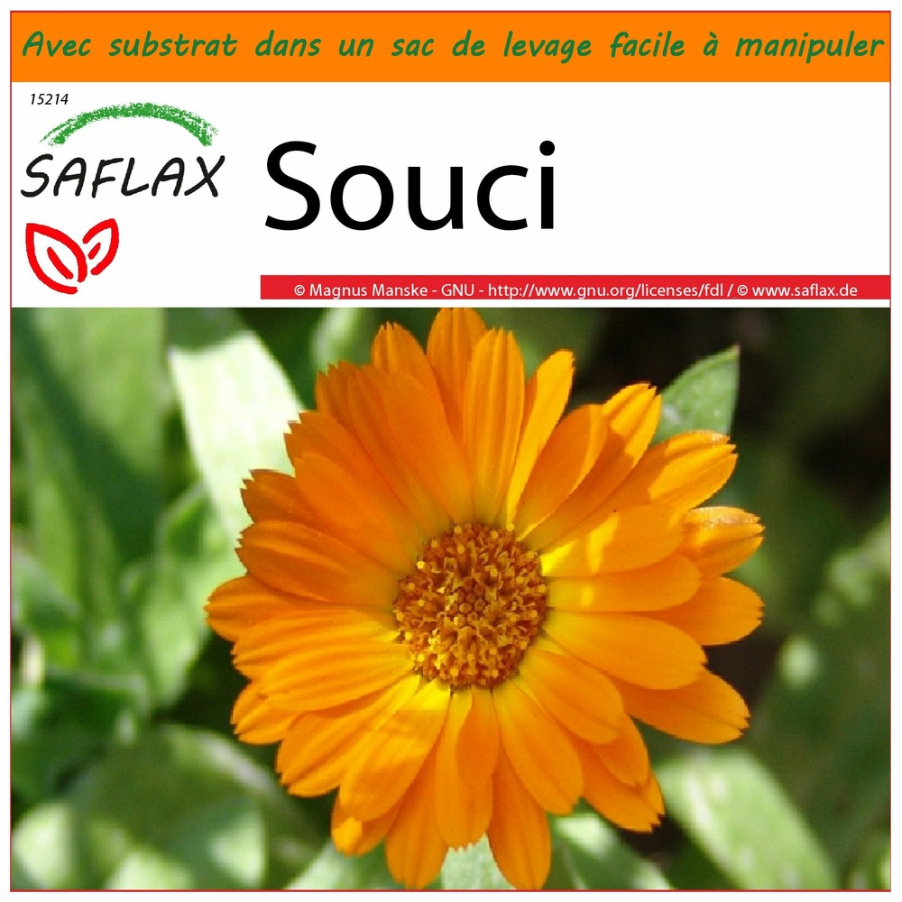 Garden in the bag - souci - 50 graines - calendula officinalis