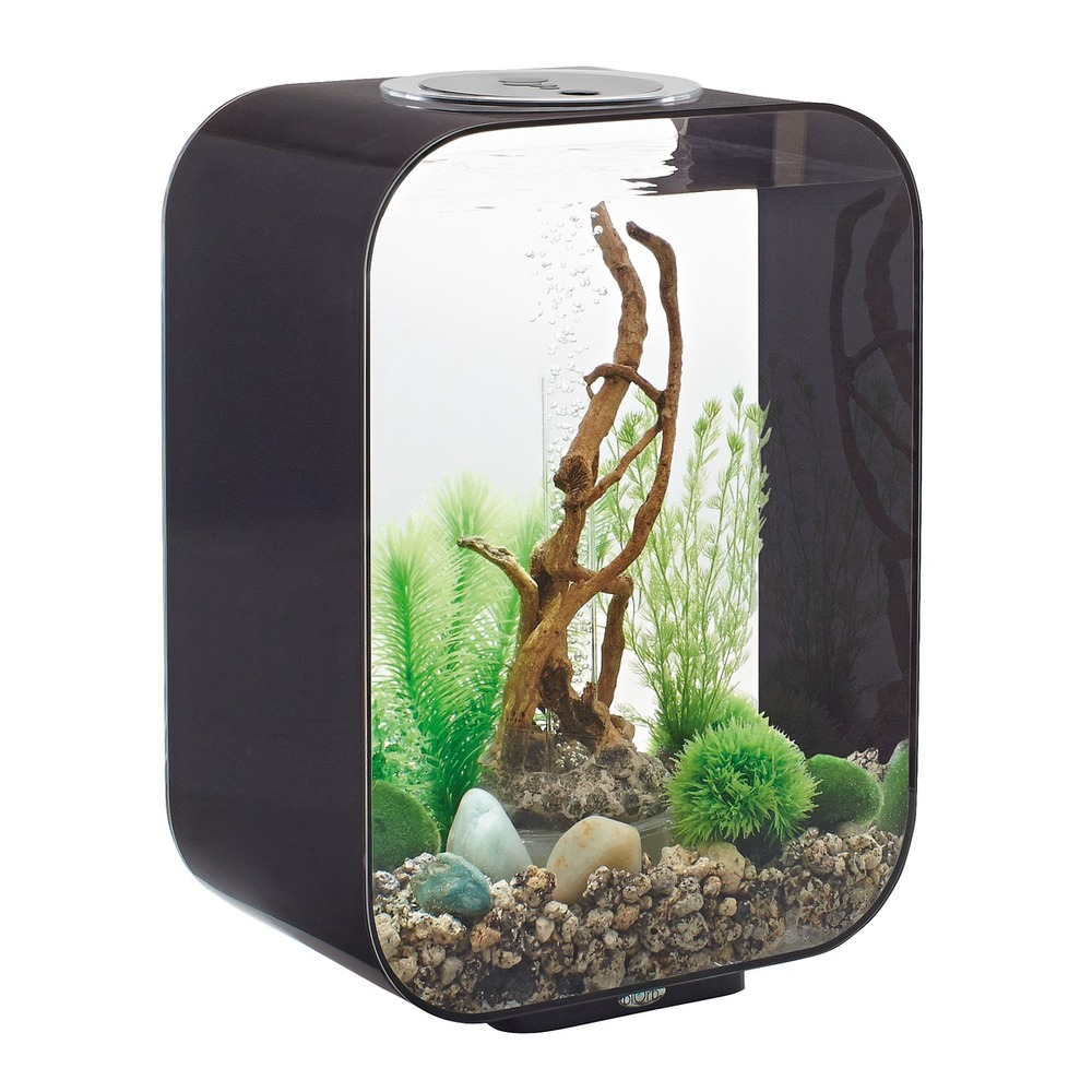 Aquarium décoratif 15l avec cadre noir - life 15 mcr black