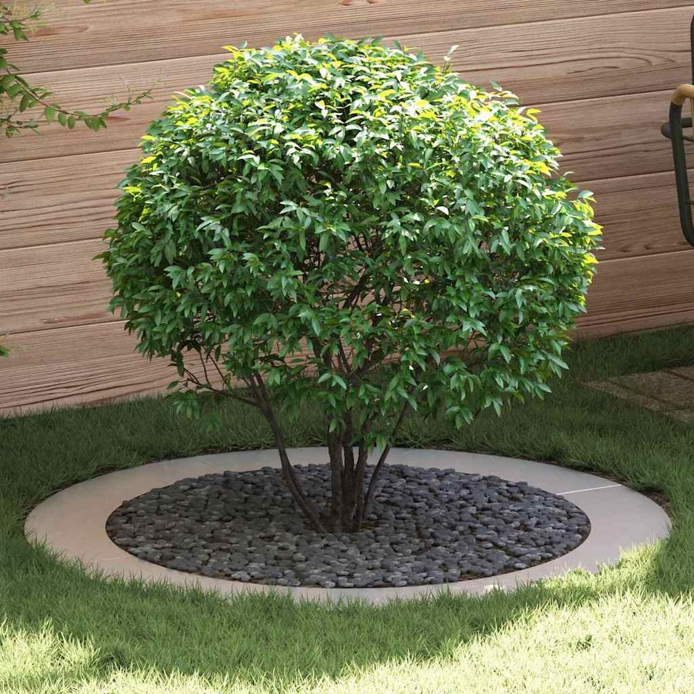 Lot de 5 grands anneaux d'arbre inox pour aménagement jardin ø120cm argent