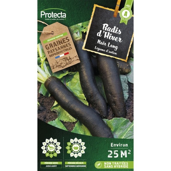 Graines paysannes - radis d'hiver noir long d'hiver