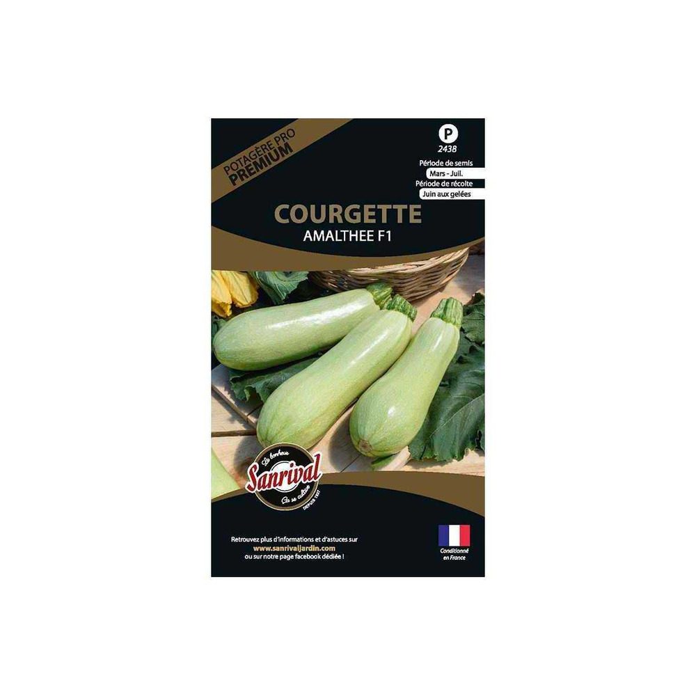 Graines potagères premium courgette blanche massue amalthee
