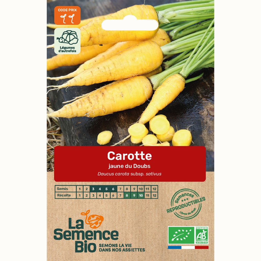 Carotte jaune du doubs - graines bio