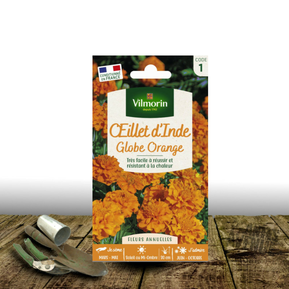 Graines d'oeillet d'inde globe orange - vilmorin sachet