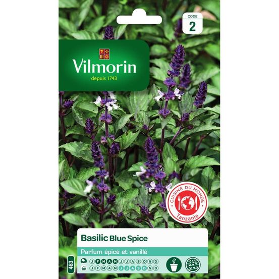 Sachet graines basilic blue spice