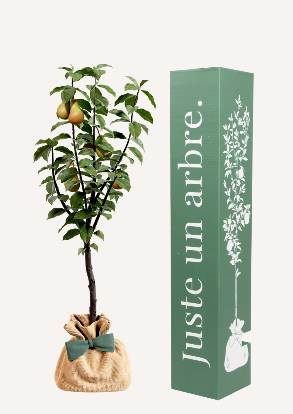 Poirier conférence | arbre cadeau naissance, mariage, baptême, anniversaire - cadeau naturel qui dure toute la vie.