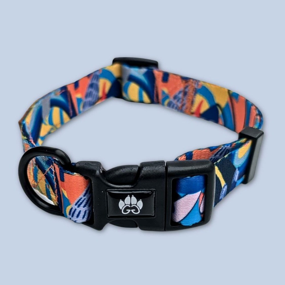 Collier pour chien lagon - l