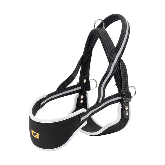 Ferplast harnais chien de taille moyenne ergocomfort nordic, harnais pour chien rembourré, réfléchissant, facile à porter et à