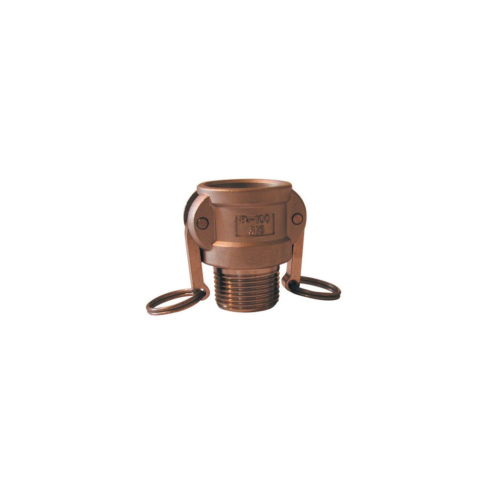 Raccord camlock femelle - embout fileté male en laiton - type b - ø a: 1''1/4___