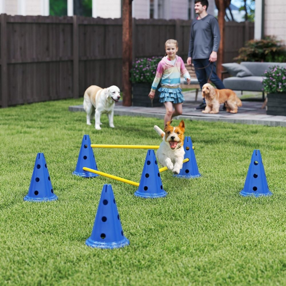 Kit agility obstacles plastique pour entraînement chien hauteur réglable bleu - comfortxl outdoor living