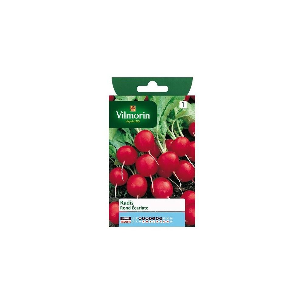Sachet graines radis ronds écarlate