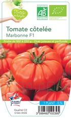 Tomate marbonne f1  -plant ab en  pot 0.5 l-plante du jardin