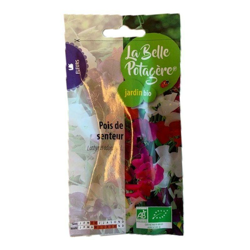Graines à semer - pois de senteur - 2,5 g