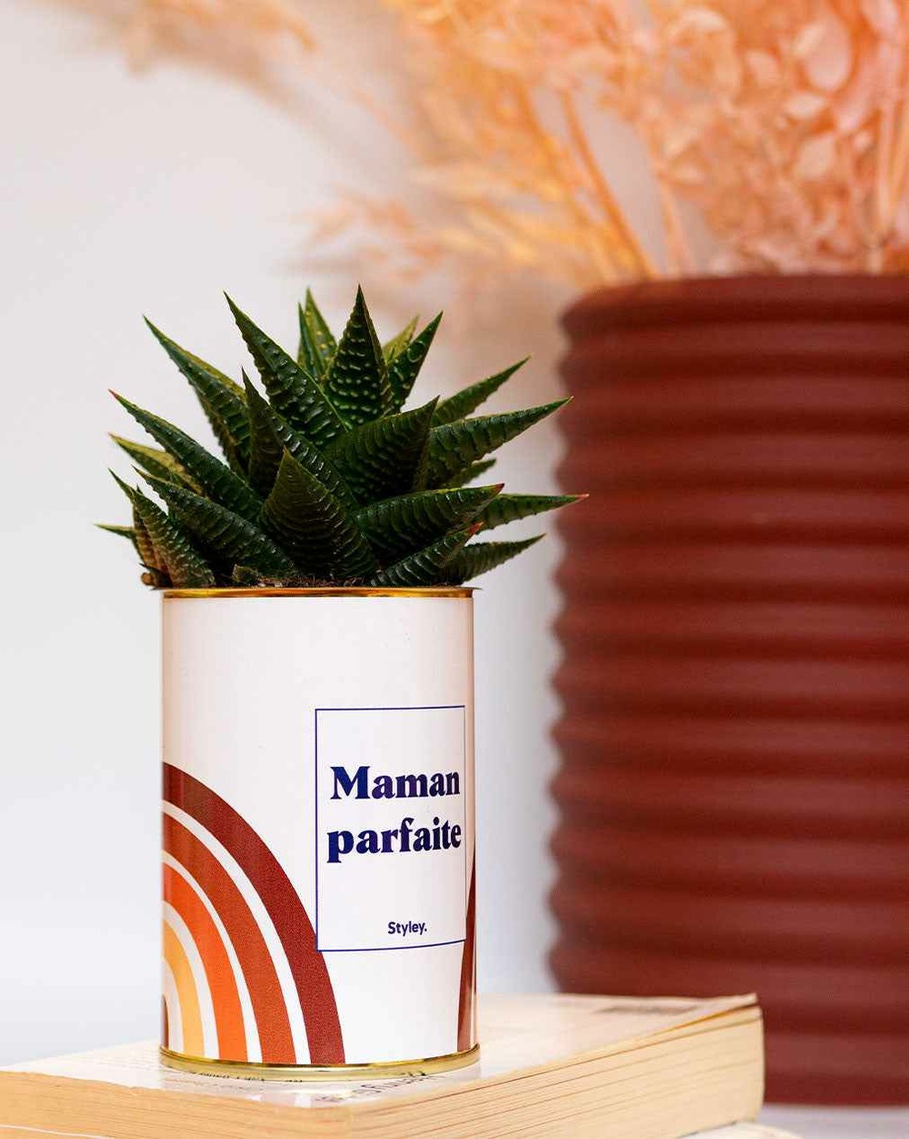 Plante à message - maman parfaite - cactus