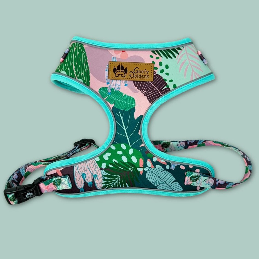 Harnais pour chien cactus - m