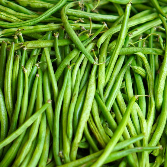 Graines de haricot nain mangetout delinel - vilmorin sachet