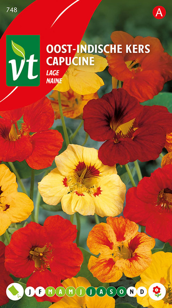 Capucine naine - ca. 3.5 gr (livraison gratuite)