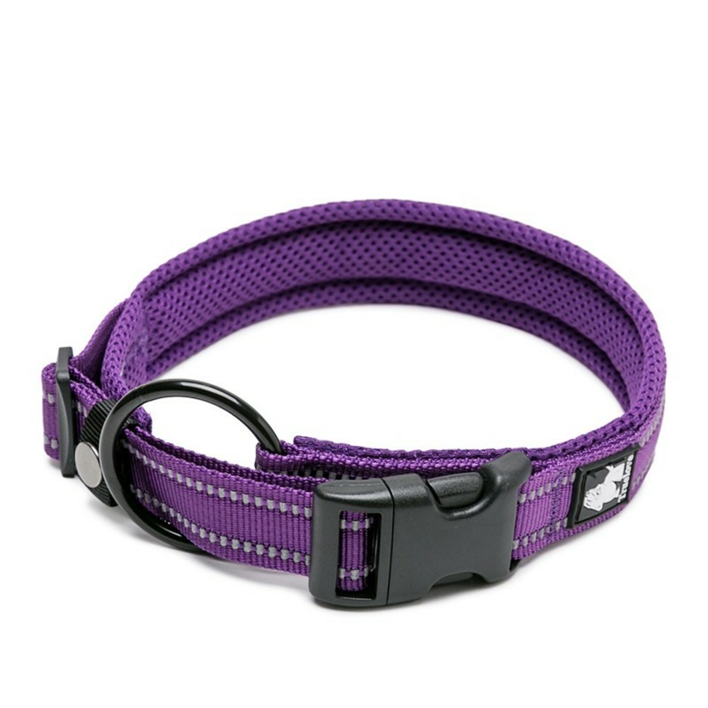 Collier chien flex - S : 35 - 40 cm - Violet