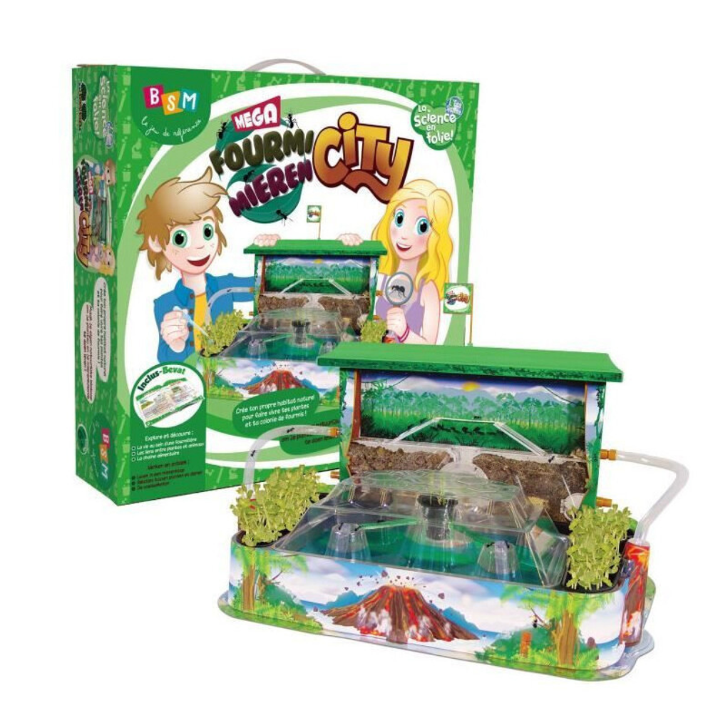 Bsm jeux - mega fourmi city